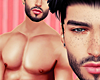 Barbarossa Ast. Skin 1.