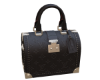LV Trunk (B)