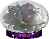 white rose with diamonds