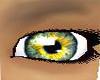 REAL eyes  green yellow