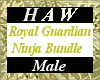 Royal Guardian Ninja (B)