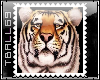 Tiger Head Big stamp