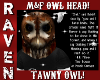 M&F TAWNY OWL HEAD!