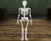 EK 3D Skeleton
