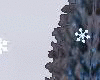 Winter Season