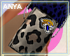 jaguars bag f