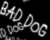 BAD DOG floor