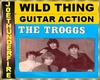 Wild Thing Guitar Act