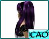 CAO Purple Fusion Samira