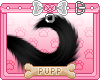 🐾 Black Tail Pup