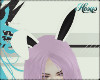 HI ◄ Bunny ears ►