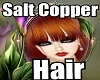 Salt Copper Hair