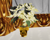 White Poinsettia GoldPot