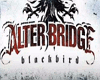 Alter Bridge Black Bird1