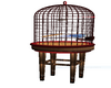 My*parakeet cage Asia