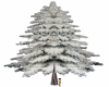 Snowey pine tree