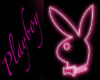playboy bunny cuddle cha