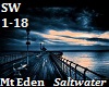 Mt Eden - Saltwater