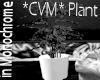 *CVM* Plant in Monochrom