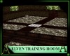 *AJ*Elven training room