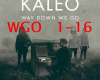 Kaleo way Down We Go
