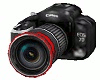 *Mus* Ani Canon EOS 7D