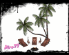 Palm Beach Deck/Poses