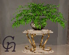 Plant in vase [CN]