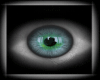 Blue Green Eyes [ M/F ]