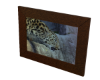 Metallic Leopard + Frame