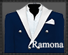 Navy Elegant Suit