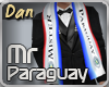CD|Mr Paraguay LuxeScarf