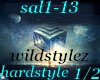 (shan)sal1-13 pt1/2