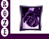 *R* Purple Rose Picture