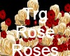 Rose Particles Trg Rose