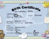 Birth Certificate Twin1
