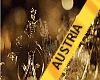MGI AUSTRIA SASH