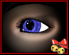 Blue Foxglove Eye (F)