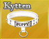 -K- Puppy White Collar