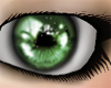 {ML} !ce Eyes ~ Green
