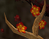 Druid Antlers F