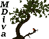 (MDiva) Bonsai Tree