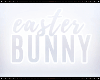 Y: easter bunny - heels