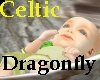 CD Celtic's Elven Baby
