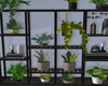 shelf and plants