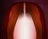 W. Vyck Ginger