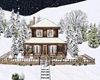 Winter Lake House