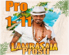Lambasaia - Pros