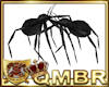 QMBR Ride Spider Wars