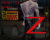 security house Z